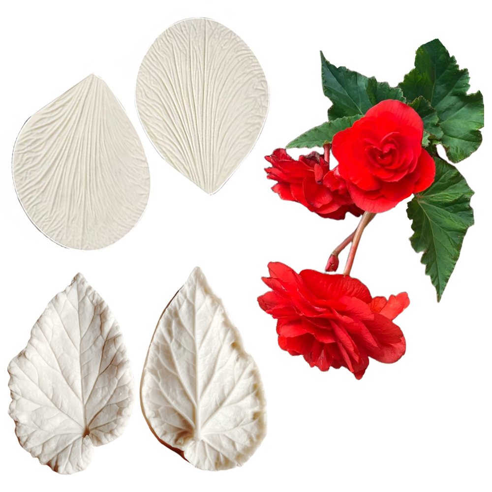 Begonia Tuberous Veiner Silico - Eco Art Craft review and price