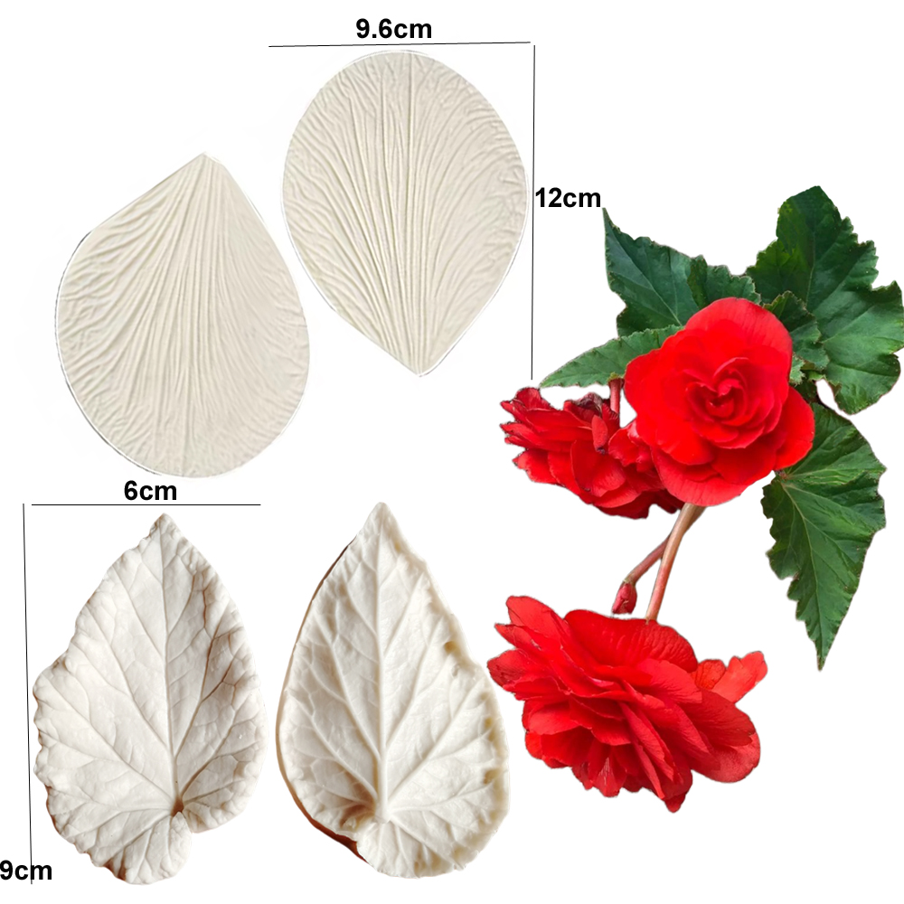 Begonia Tuberous Veiner Silico - Eco Art Craft review and price