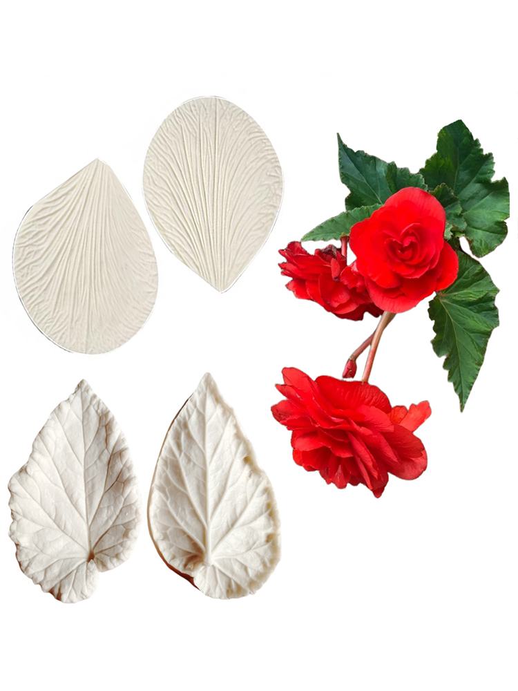Begonia Tuberous Veiner Silico - Eco Art Craft review and price