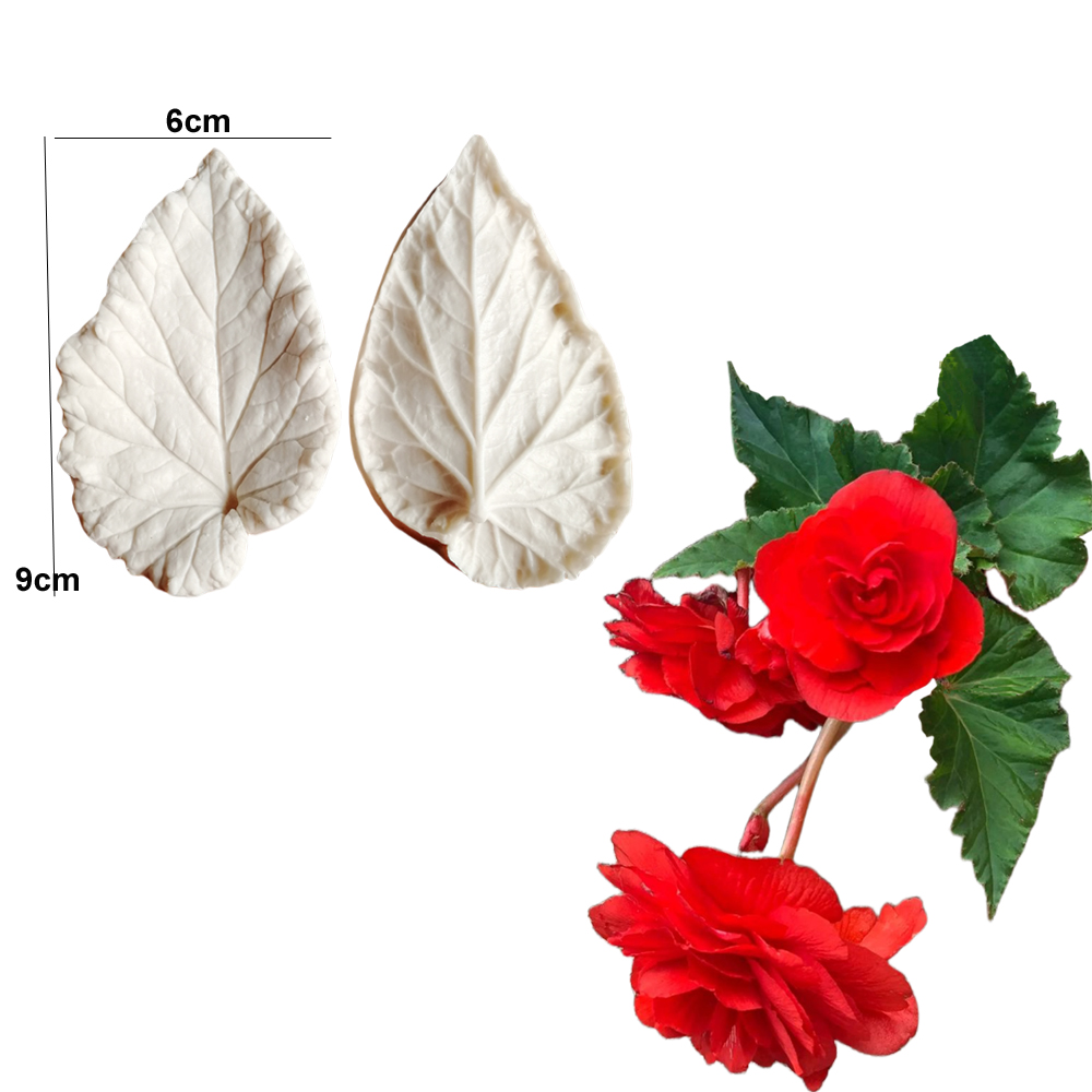 Begonia Tuberous Veiner Silico - Eco Art Craft review and price