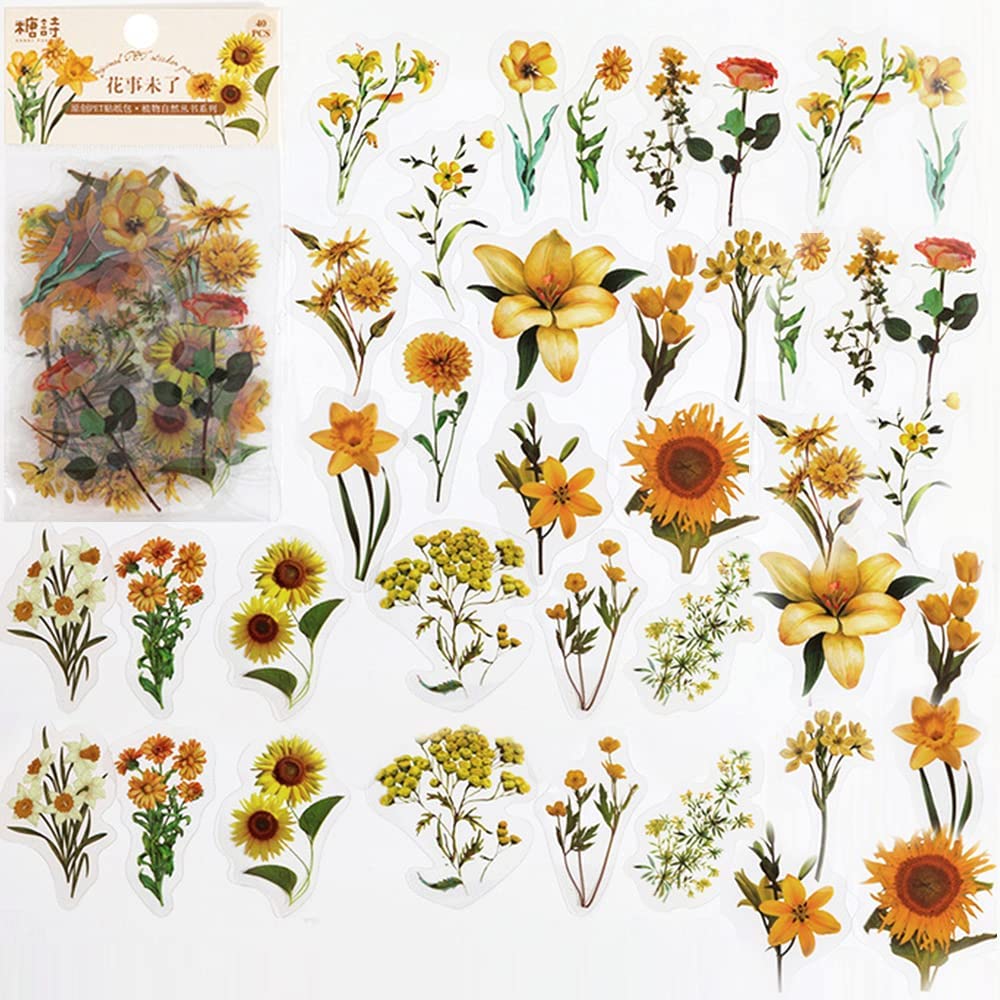 40 Pcs Scrapbook Stickers PET  - Art Craft Journals review and price