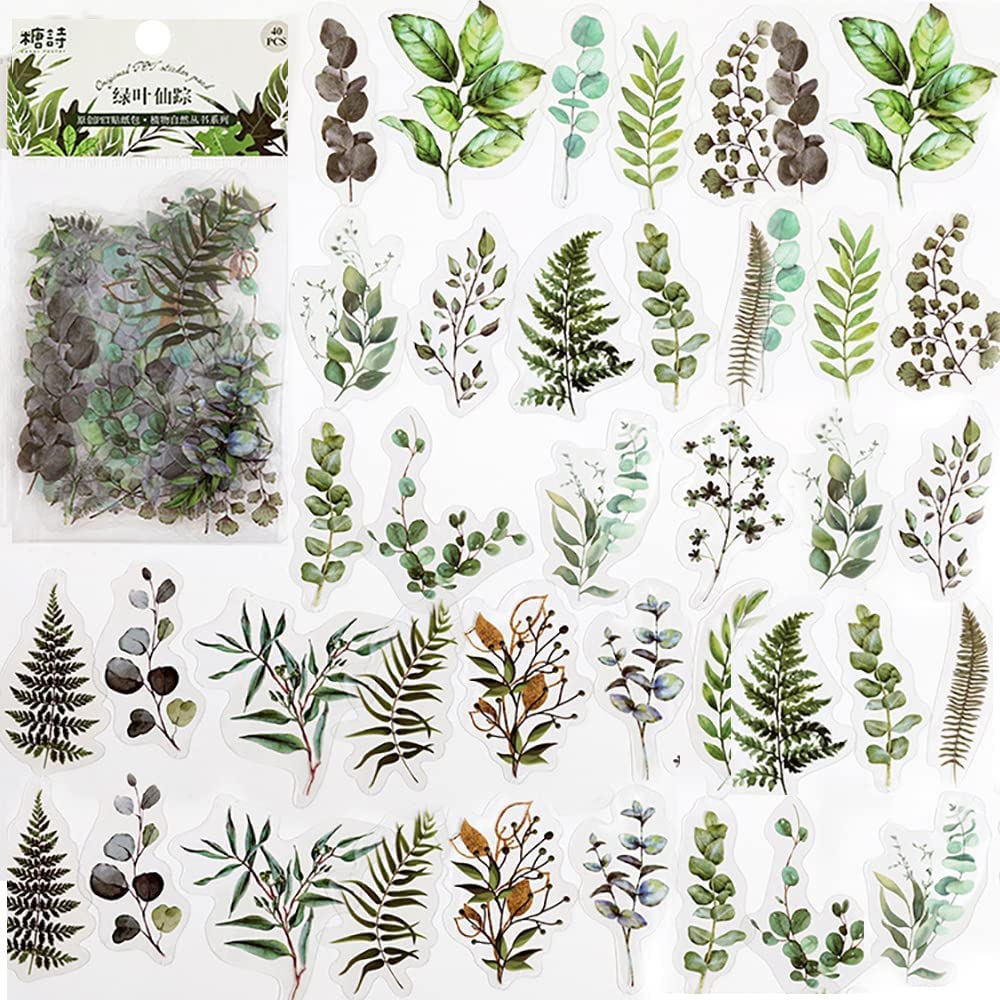 40 Pcs Scrapbook Stickers PET  - Art Craft Journals review and price