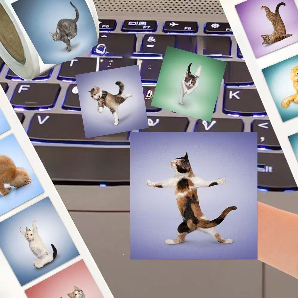 500pcs Cute Cat Roll Stickers  - Art Craft Journals review and price