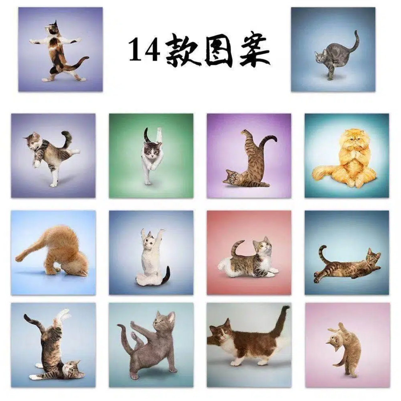 500pcs Cute Cat Roll Stickers  - Art Craft Journals review and price