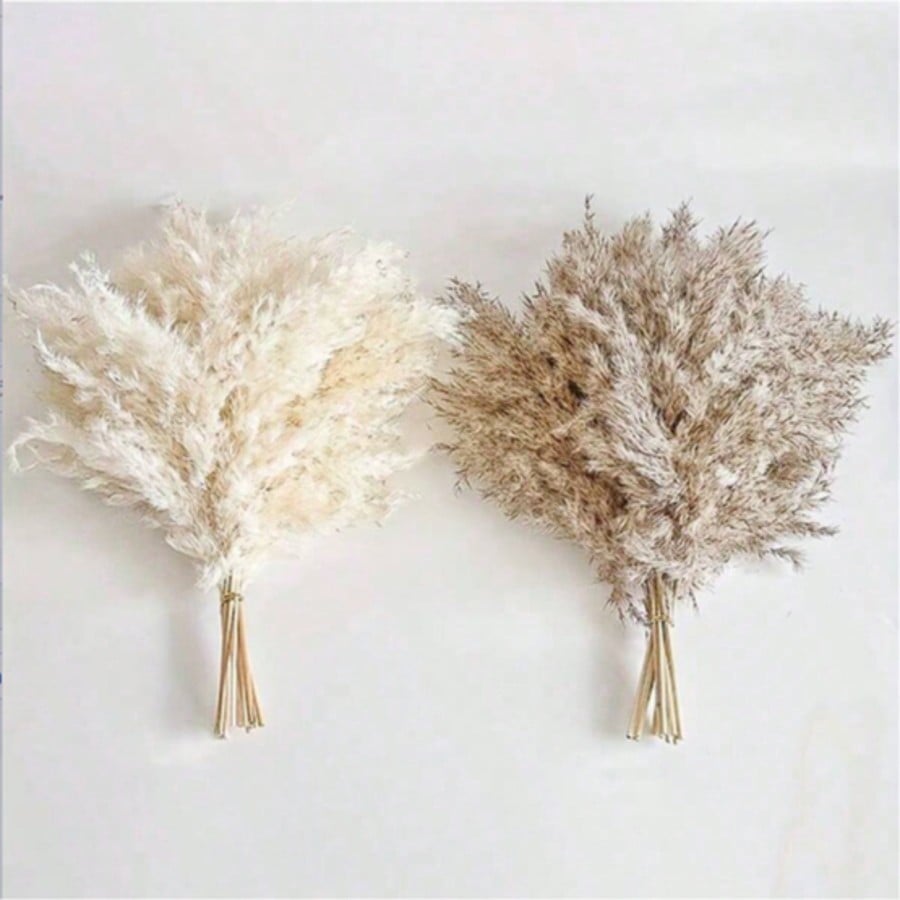 10/20/30pcs White Artificial P - Art Craft Vase review and price