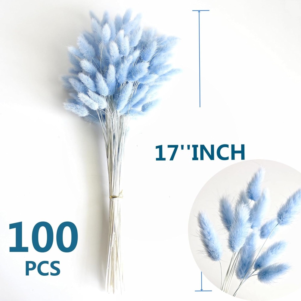 100PCS Blue Hare's-tail Grass  - Art Craft Vase review and price
